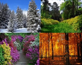 The Seasons.jpg