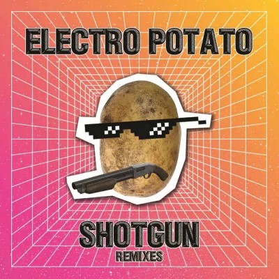 Electro Potato - Shotgun (The Remixes).jpg