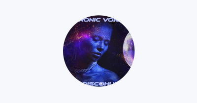 Retronic Voice - Discohunted (S).png