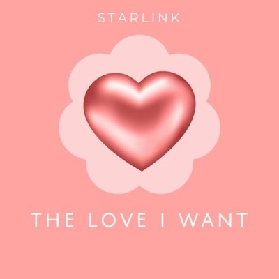 StarLink - The Love I Want.jpg